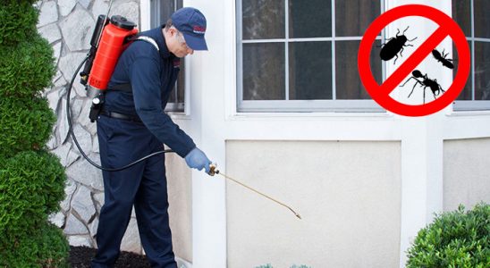 Gülşehir Kemirgen İlaçlama böcek ilaçlama ve haşere kontrolü — ilaclama-tr.com